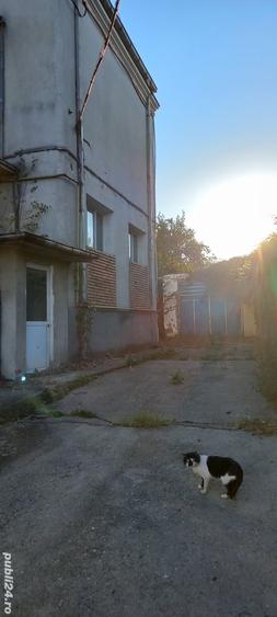 Casă în Central