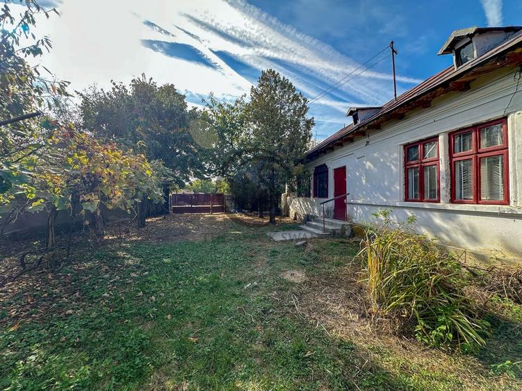 Casă individuală cu 4 camere cu Teren 3808 Mp în Tăriceni
