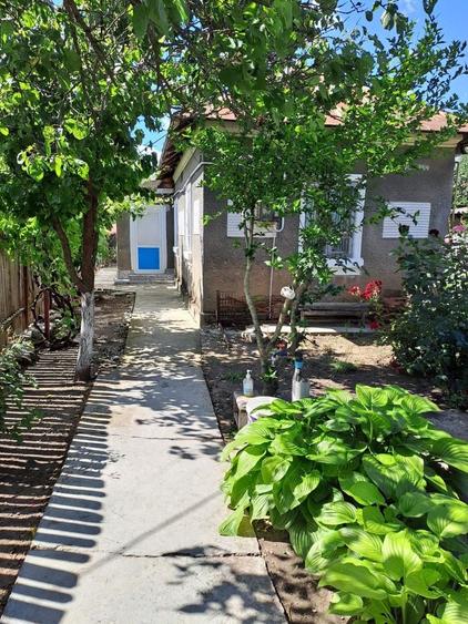 Casă cu 3 camere în Central