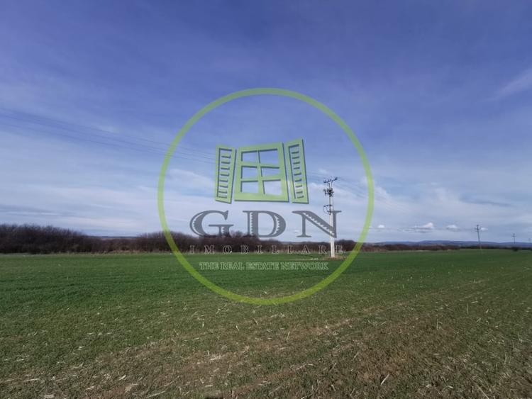 Teren agricol extravilan de 21496 mp, în Săcădat