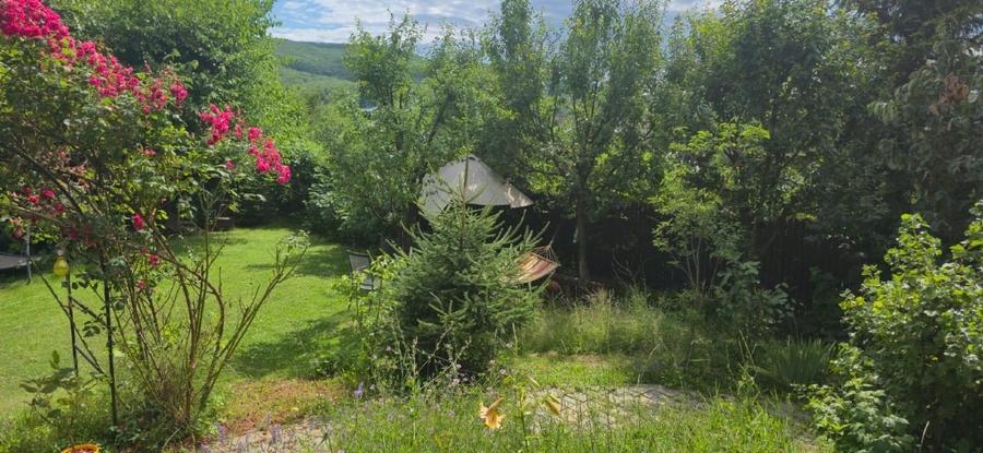 Casă individuală cu 5 camere cu Teren 900 Mp în Făget