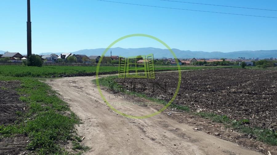 Teren agricol extravilan de 7720 mp, în Gușterița
