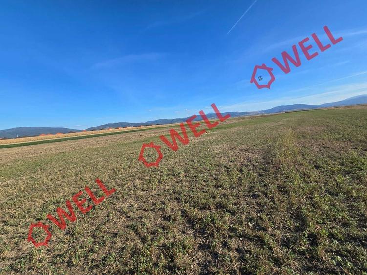 Teren agricol extravilan de 10000 mp, în Prejmer