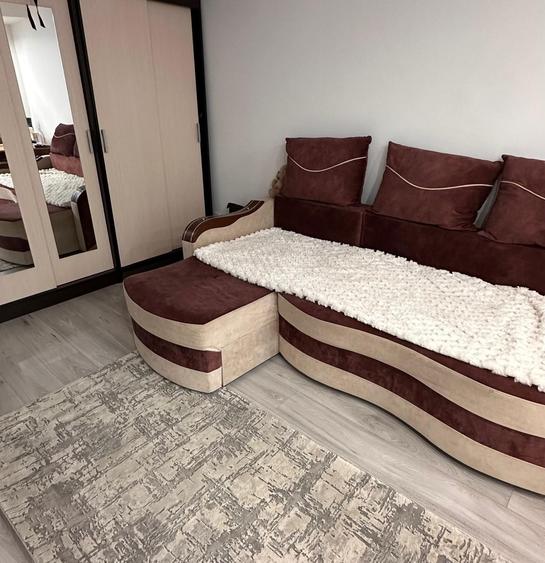 Apartament cu o camera de vanzare - 7