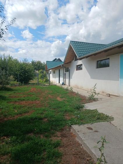 Casă cu 2 camere cu Teren 3100 Mp în Broscăuți