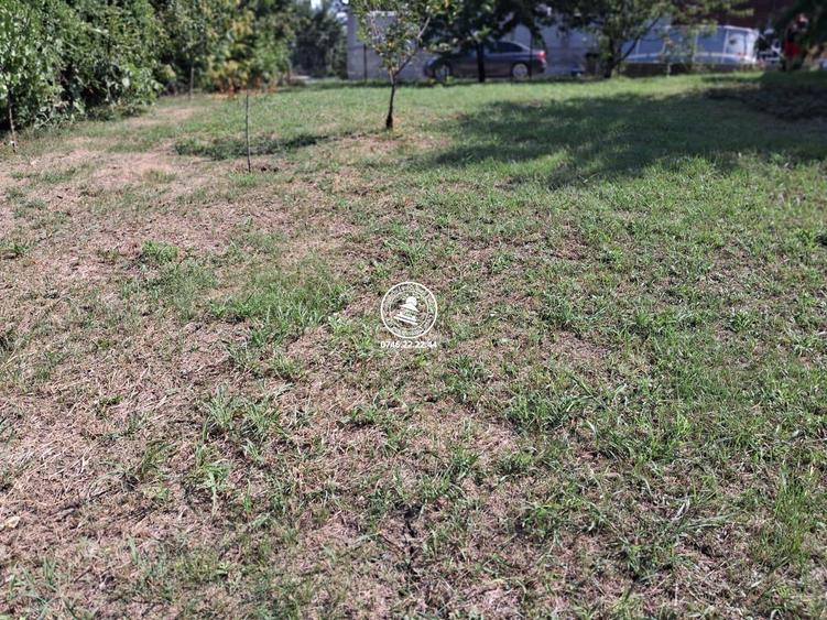 Teren de 800 mp, în Breazu