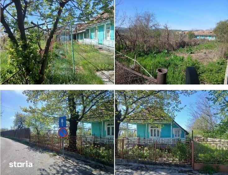 Casă cu 3 camere cu Teren 1566 Mp în Săvinești