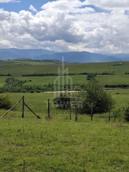 Teren de 11500 mp, în Daia