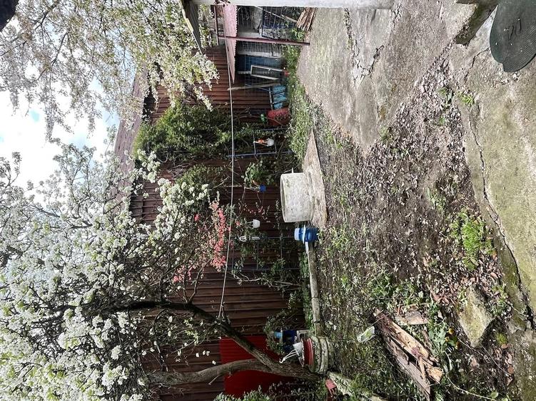 Casă cu 2 camere cu Teren 190 Mp în Periferie