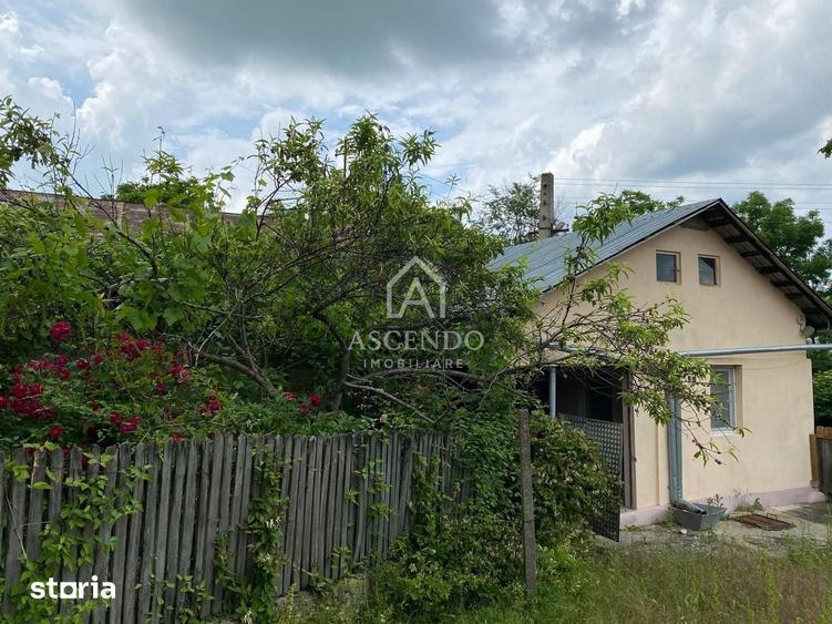 Teren de 15900 mp, în Năeni