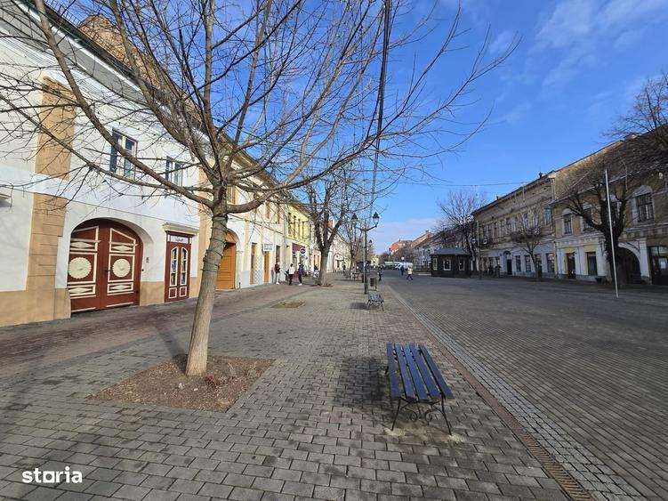Spatiu comercial de inchiriat Ultracentral Bistrita - 5