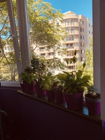Apartament cu 2 camere decomandat, mobilat în Calea Călărașilor