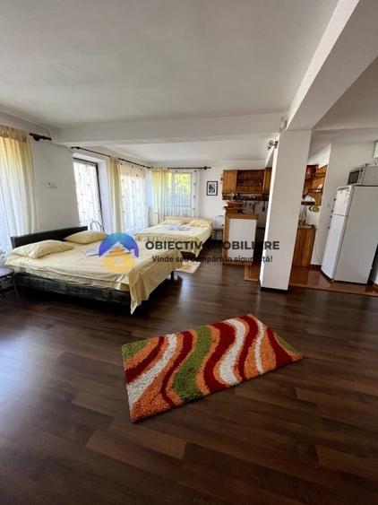 Hotel/Pensiune, de 250 mp, în Dumbrava Roșie