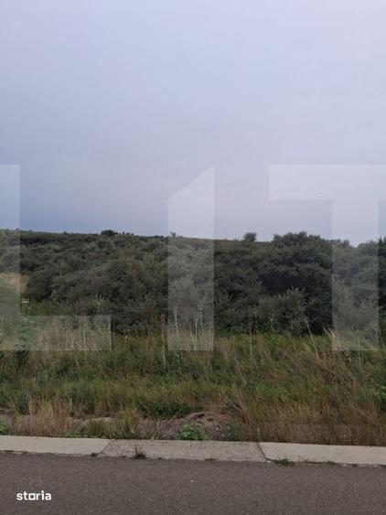 Spațiu comercial, în Soroceni