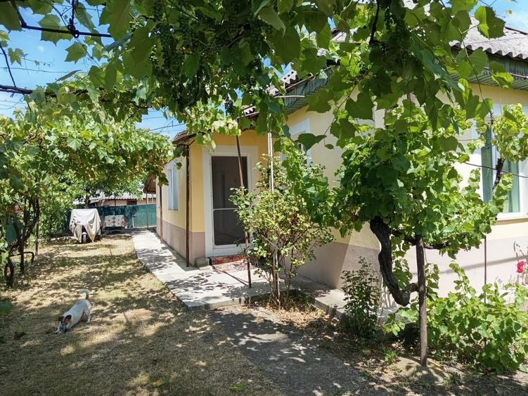 Casă cu 3 camere în Rocna