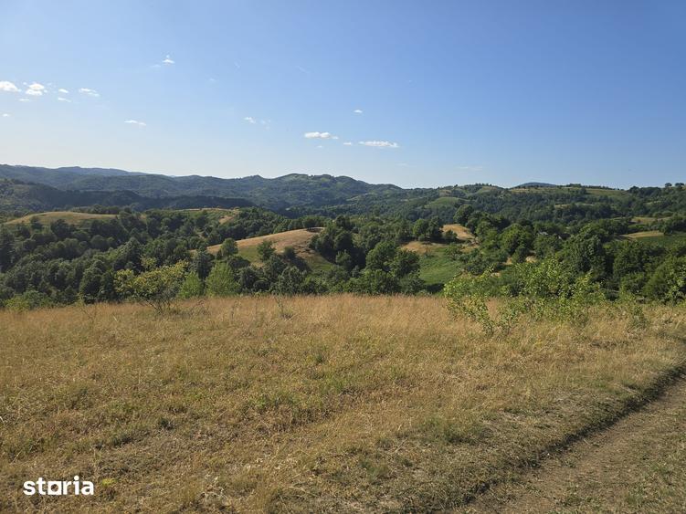Teren de 150000 mp, în Cerbăl