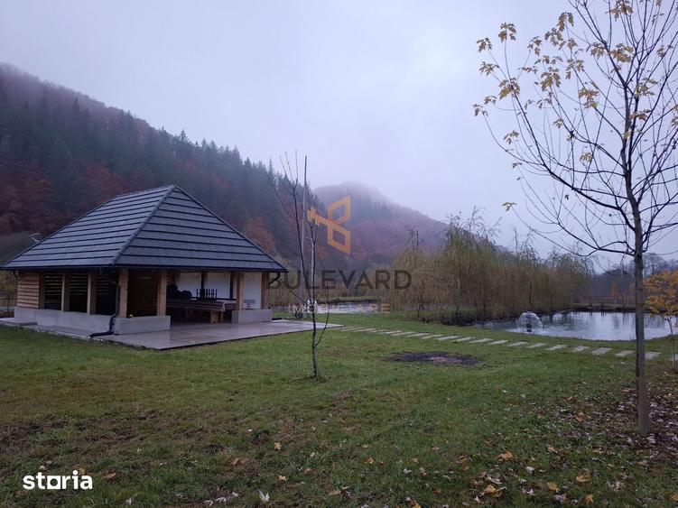 Casă cu 8 camere cu Teren 6300 Mp în Târlișua