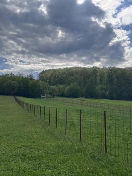 Teren Construcții intravilan de 2500 mp, în Marginea