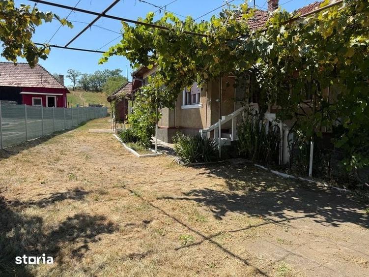Casă cu 3 camere cu Teren 100 Mp în Zimbor