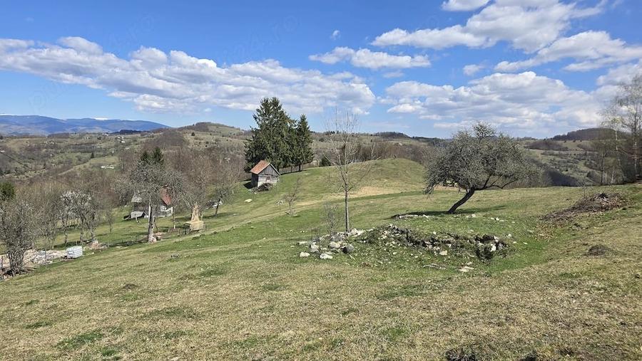 Teren de 23000 mp, în Sohodol