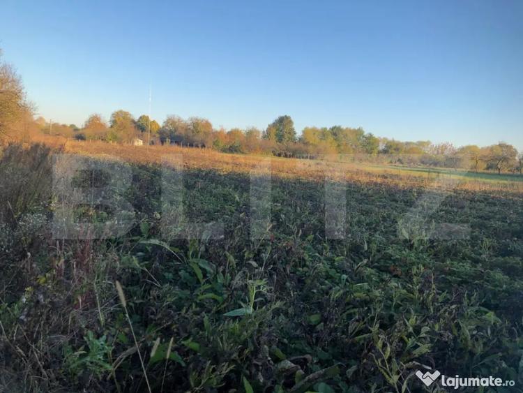 Casă cu 2 camere cu Teren 1500 Mp în Central