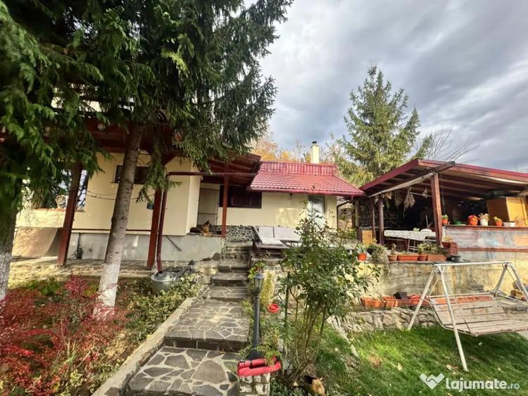 Casă cu 4 camere cu Teren 1527 Mp în Tăuții de Sus