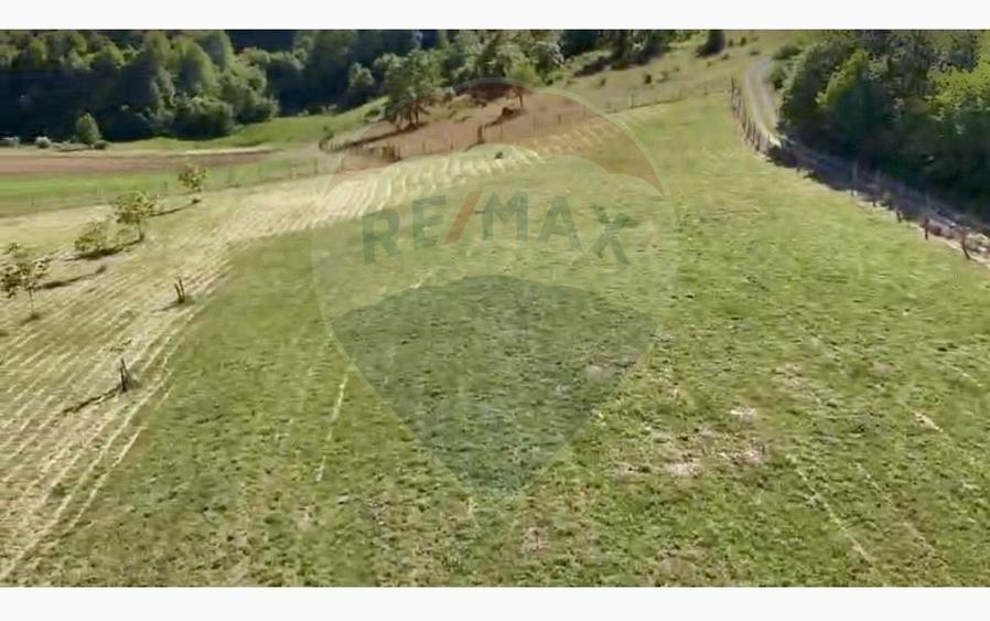 Teren agricol intravilan de 20170 mp, în Șuncuiuș