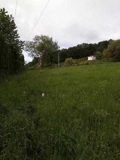 teren extravilan gilau - 6