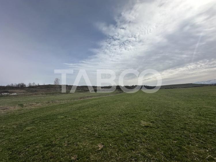 Teren Construcții intravilan de 23486 mp, în Cristian