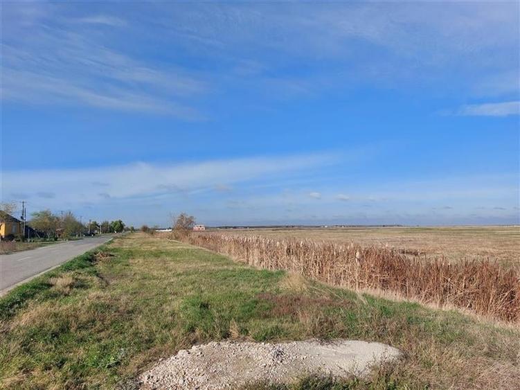 Teren Construcții intravilan de 170000 mp, în Nord