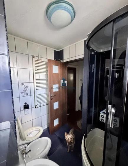 Vanzare Apartament 2 Camere Semidecomandat Berceni-Aliorului - 5