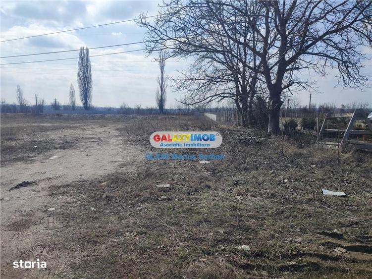 Teren de 9600 mp, în Aninoasa