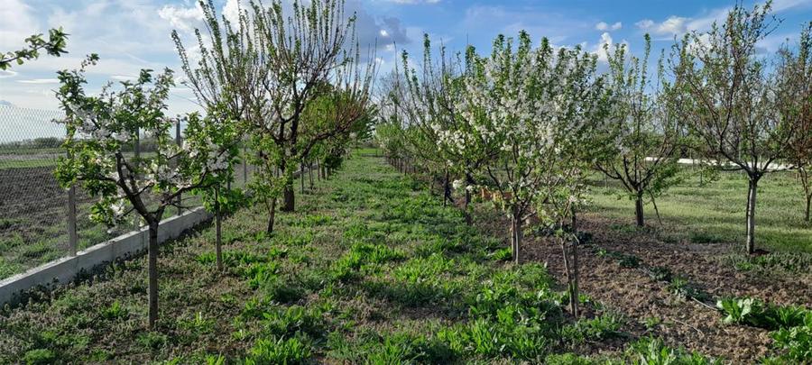 Casă individuală cu 3 camere cu Canalizare în Gepiu