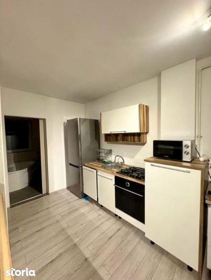Apartament 2 camere, cu terasa si balcon, parcare subterana, C. Coposu - 10