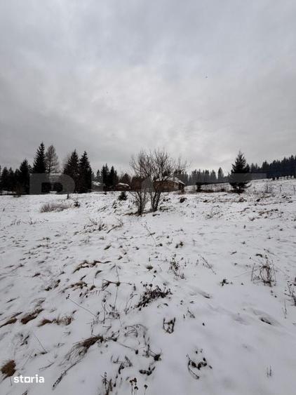 Teren de 10746 mp, în Fundu Moldovei