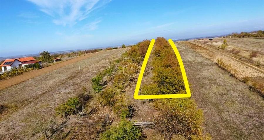 Teren Construcții intravilan de 1000 mp, în Sud