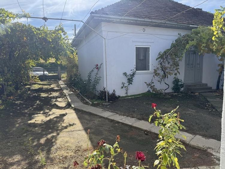Casă cu 4 camere în Dobrotești
