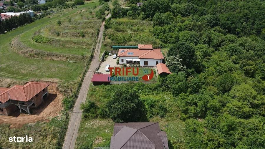 Spațiu comercial, în Central