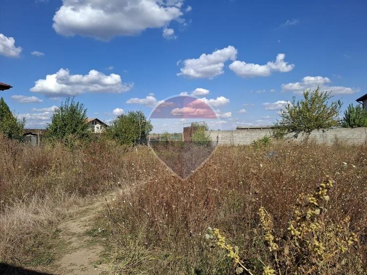 Teren Construcții intravilan de 800 mp, în Tânganu