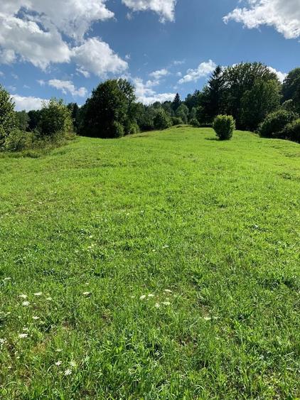 Teren de 40000 mp, în Diaconești