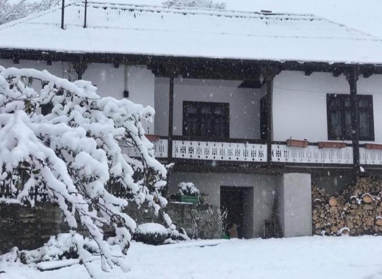 Casă individuală cu 4 camere cu Teren 20000 Mp în Hangu