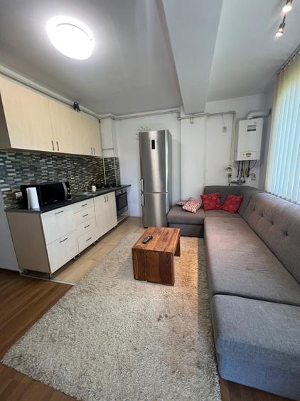 Apartament cu 2 camere decomandat în Borhanci