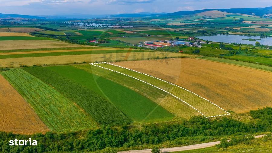 Oportunitate pentru fermieri: 10.800 mp teren arabil in Rotbav, Bra?ov - 2