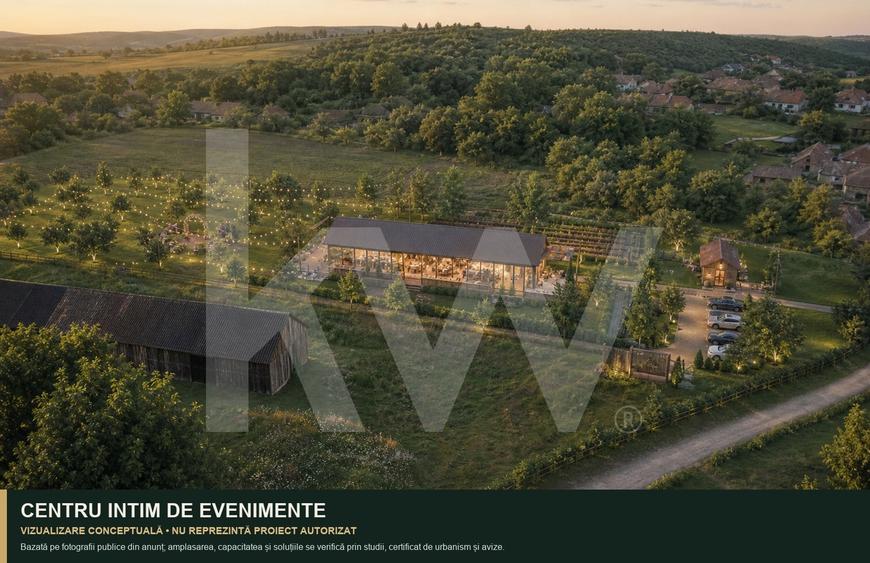 Teren Construcții intravilan de 7979 mp, în Delenii