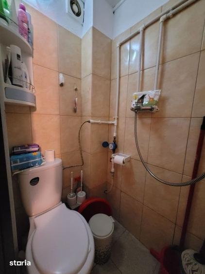 Camera de camin - 20 mp - Valea Rosie - 2