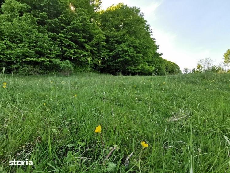 Teren de 1000 mp, în Bascov