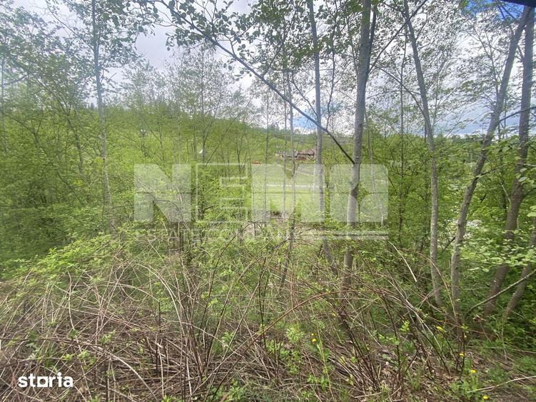 Teren de 3100 mp, în Frasin