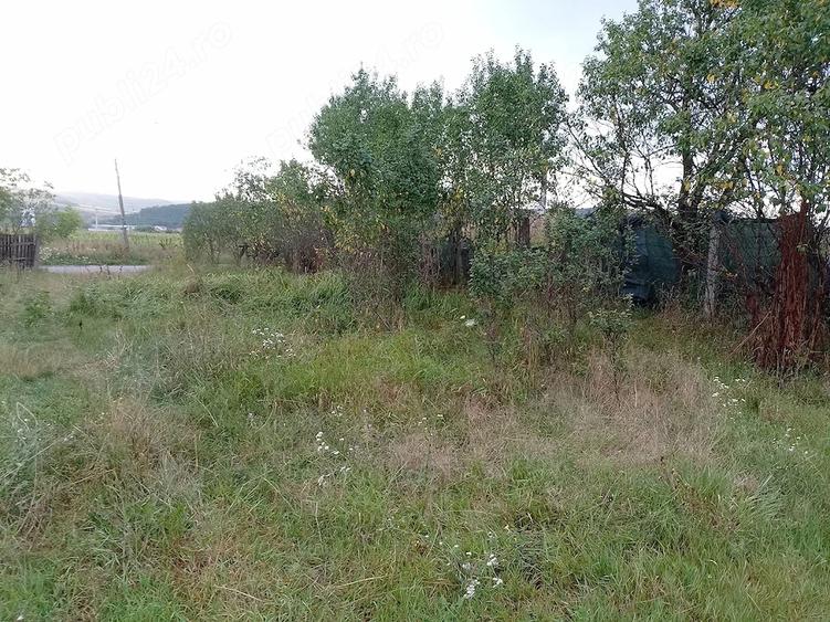Teren de 1100 mp, în Central