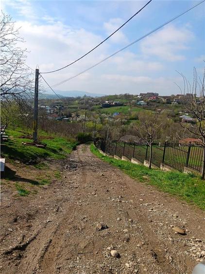 Teren Construcții intravilan de 7009 mp, în Ciurbești