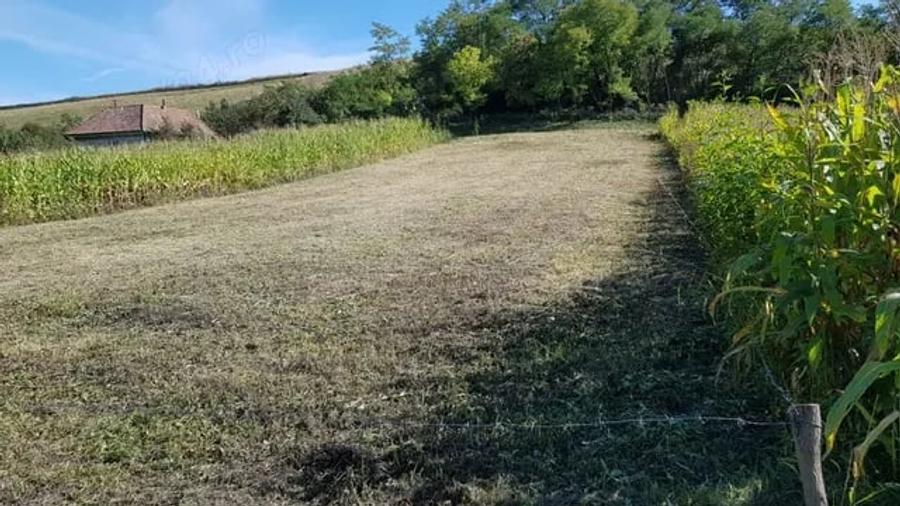 Teren de 2900 mp, în Căianu
